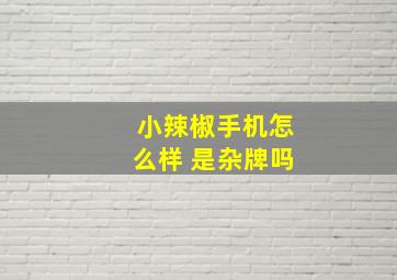 小辣椒手机怎么样 是杂牌吗